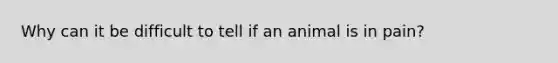 Why can it be difficult to tell if an animal is in pain?