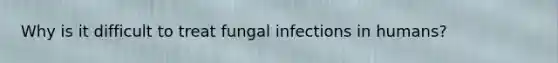 Why is it difficult to treat fungal infections in humans?