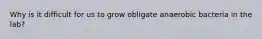 Why is it difficult for us to grow obligate anaerobic bacteria in the lab?