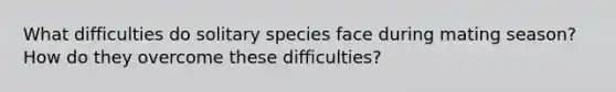 What difficulties do solitary species face during mating season? How do they overcome these difficulties?