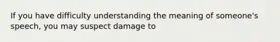 If you have difficulty understanding the meaning of someone's speech, you may suspect damage to