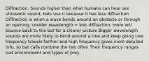 Diffraction: Sounds higher than what humans can hear are ultrasonic sound, bats use it because it has less diffraction Diffraction is when a wave bends around an obstacle or through an opening, smaller wavelength = less diffraction, more will bounce back to the bat for a clearer picture Bigger wavelength sounds are more likely to bend around a tree and keep going Low frequency travels farther and high frequency gives more detailed info, so bat calls combine the two often Their frequency ranges suit environment and types of prey