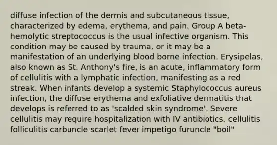 diffuse infection of the dermis and subcutaneous tissue, characterized by edema, erythema, and pain. Group A beta-hemolytic streptococcus is the usual infective organism. This condition may be caused by trauma, or it may be a manifestation of an underlying blood borne infection. Erysipelas, also known as St. Anthony's fire, is an acute, inflammatory form of cellulitis with a lymphatic infection, manifesting as a red streak. When infants develop a systemic Staphylococcus aureus infection, the diffuse erythema and exfoliative dermatitis that develops is referred to as 'scalded skin syndrome'. Severe cellulitis may require hospitalization with IV antibiotics. cellulitis folliculitis carbuncle scarlet fever impetigo furuncle "boil"