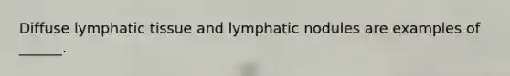 Diffuse lymphatic tissue and lymphatic nodules are examples of ______.