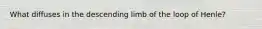 What diffuses in the descending limb of the loop of Henle?