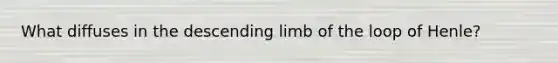 What diffuses in the descending limb of the loop of Henle?