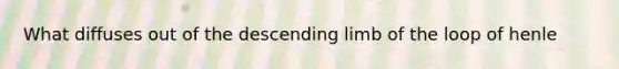 What diffuses out of the descending limb of the loop of henle