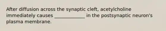 After diffusion across the synaptic cleft, acetylcholine immediately causes _____________ in the postsynaptic neuron's plasma membrane.