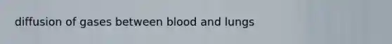 diffusion of gases between blood and lungs