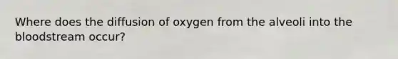 Where does the diffusion of oxygen from the alveoli into the bloodstream occur?