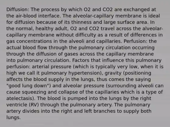 Diffusion: The process by which O2 and CO2 are exchanged at the air-blood interface. The alveolar-capillary membrane is ideal for diffusion because of its thinness and large surface area. In the normal, healthy adult, O2 and CO2 travel across the alveolar-capillary membrane without difficulty as a result of differences in gas concentrations in the alveoli and capillaries. Perfusion: the actual blood flow through the pulmonary circulation occurring through the diffusion of gases across the capillary membrane into pulmonary circulation. Factors that influence this pulmonary perfusion: arterial pressure (which is typically very low, when it is high we call it pulmonary hypertension), gravity (positioning affects the blood supply in the lungs, thus comes the saying "good lung down") and alveolar pressure (surrounding alveoli can cause squeezing and collapse of the capillaries which is a type of atelectasis). The blood is pumped into the lungs by the right ventricle (RV) through the pulmonary artery. The pulmonary artery divides into the right and left branches to supply both lungs.