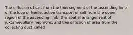 The diffusion of salt from the thin segment of the ascending limb of the loop of henle, active transport of salt from the upper region of the ascending limb, the spatial arrangement of juxtamedullary nephrons, and the diffusion of urea from the collecting duct called