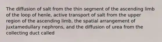 The diffusion of salt from the thin segment of the ascending limb of the loop of henle, active transport of salt from the upper region of the ascending limb, the spatial arrangement of juxtamedullary nephrons, and the diffusion of urea from the collecting duct called