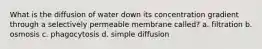 What is the diffusion of water down its concentration gradient through a selectively permeable membrane called? a. filtration b. osmosis c. phagocytosis d. simple diffusion