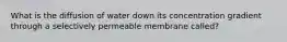 What is the diffusion of water down its concentration gradient through a selectively permeable membrane called?