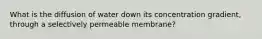 What is the diffusion of water down its concentration gradient, through a selectively permeable membrane?