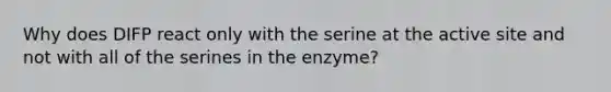 Why does DIFP react only with the serine at the active site and not with all of the serines in the enzyme?