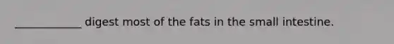 ____________ digest most of the fats in the small intestine.