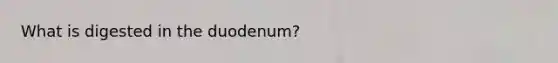 What is digested in the duodenum?