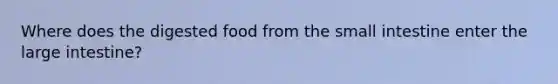 Where does the digested food from the small intestine enter the large intestine?