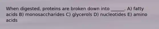 When digested, proteins are broken down into ______. A) fatty acids B) monosaccharides C) glycerols D) nucleotides E) amino acids