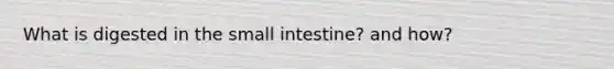 What is digested in the small intestine? and how?