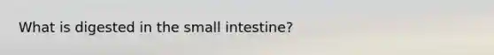 What is digested in the small intestine?