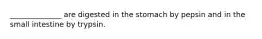 ______________ are digested in the stomach by pepsin and in the small intestine by trypsin.