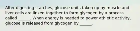 After digesting starches, glucose units taken up by muscle and liver cells are linked together to form glycogen by a process called ______. When energy is needed to power athletic activity, glucose is released from glycogen by ______.