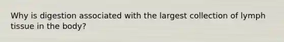 Why is digestion associated with the largest collection of lymph tissue in the body?