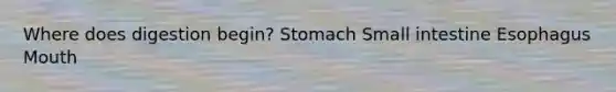 Where does digestion begin? Stomach Small intestine Esophagus Mouth