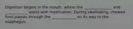 Digestion begins in the mouth, where the _______________ and ____________ assist with mastication. During swallowing, chewed food passes through the _____________ on its way to the esophagus.