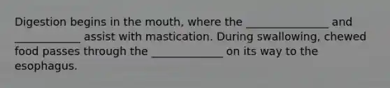 Digestion begins in <a href='https://www.questionai.com/knowledge/krBoWYDU6j-the-mouth' class='anchor-knowledge'>the mouth</a>, where the _______________ and ____________ assist with mastication. During swallowing, chewed food passes through the _____________ on its way to <a href='https://www.questionai.com/knowledge/kSjVhaa9qF-the-esophagus' class='anchor-knowledge'>the esophagus</a>.