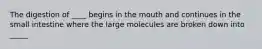 The digestion of ____ begins in the mouth and continues in the small intestine where the large molecules are broken down into _____