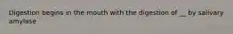 Digestion begins in the mouth with the digestion of __ by salivary amylase