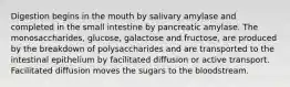 Digestion begins in the mouth by salivary amylase and completed in the small intestine by pancreatic amylase. The monosaccharides, glucose, galactose and fructose, are produced by the breakdown of polysaccharides and are transported to the intestinal epithelium by facilitated diffusion or active transport. Facilitated diffusion moves the sugars to the bloodstream.