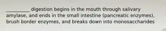 __________ digestion begins in the mouth through salivary amylase, and ends in the small intestine (pancreatic enzymes), brush border enzymes, and breaks down into monosaccharides