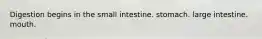 Digestion begins in the small intestine. stomach. large intestine. mouth.