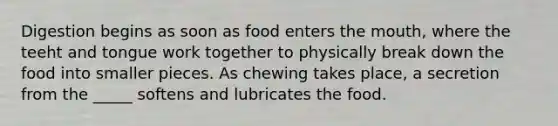 Digestion begins as soon as food enters the mouth, where the teeht and tongue work together to physically break down the food into smaller pieces. As chewing takes place, a secretion from the _____ softens and lubricates the food.