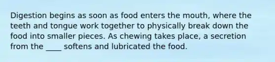 Digestion begins as soon as food enters the mouth, where the teeth and tongue work together to physically break down the food into smaller pieces. As chewing takes place, a secretion from the ____ softens and lubricated the food.