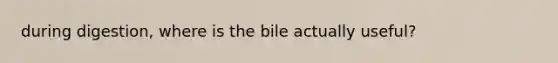 during digestion, where is the bile actually useful?