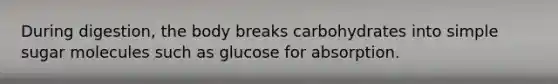 During digestion, the body breaks carbohydrates into simple sugar molecules such as glucose for absorption.