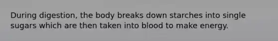 During digestion, the body breaks down starches into single sugars which are then taken into blood to make energy.