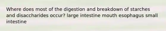 Where does most of the digestion and breakdown of starches and disaccharides occur? large intestine mouth esophagus small intestine