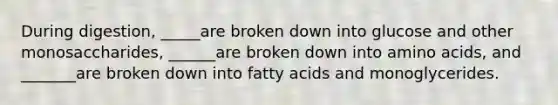 During digestion, _____are broken down into glucose and other monosaccharides, ______are broken down into amino acids, and _______are broken down into fatty acids and monoglycerides.