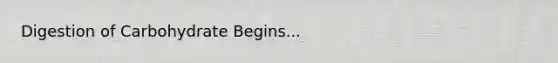 Digestion of Carbohydrate Begins...