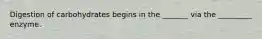 Digestion of carbohydrates begins in the _______ via the _________ enzyme.