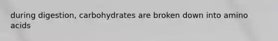 during digestion, carbohydrates are broken down into amino acids