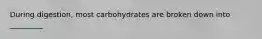 During digestion, most carbohydrates are broken down into _________