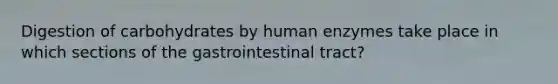 Digestion of carbohydrates by human enzymes take place in which sections of the gastrointestinal tract?